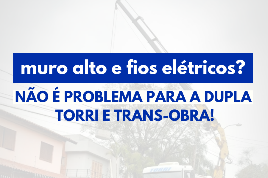 Muro alto e fios elétricos? Não é problema para nós!