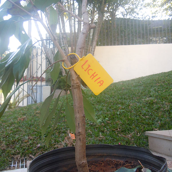 Etiquetas para identificação