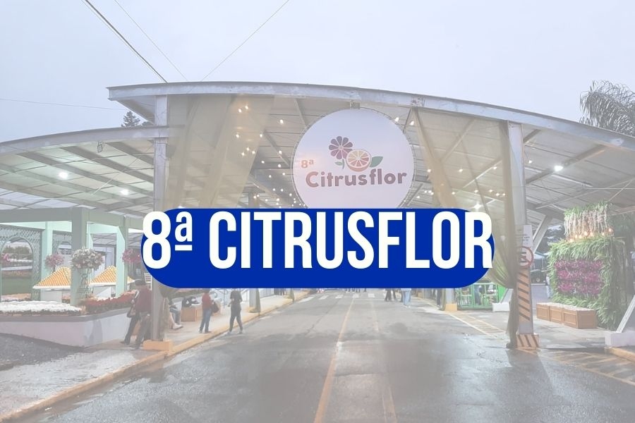 TORRI NA CITRUSFLOR